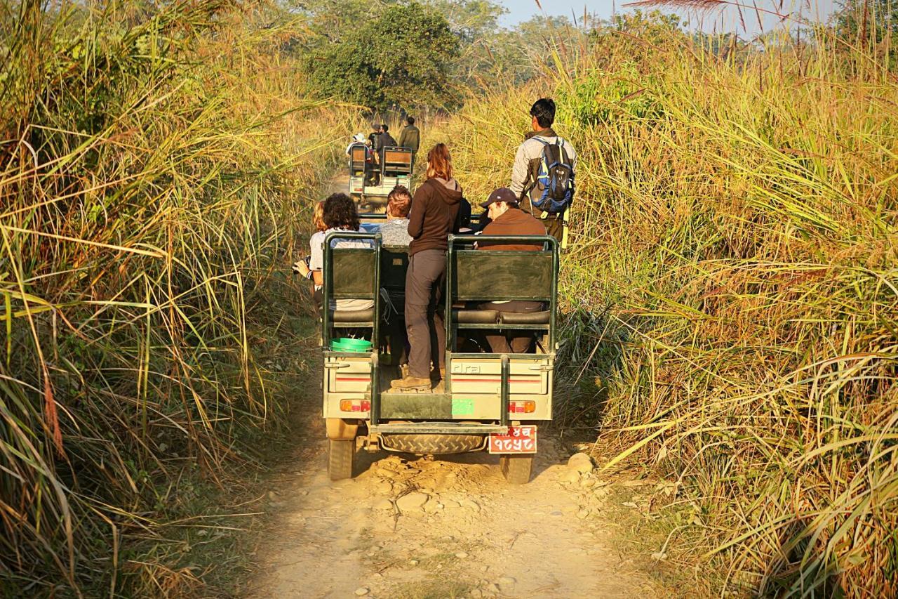 Tiger Corner Inn Homestay Sauraha Ngoại thất bức ảnh